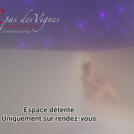 A 2 Pas Des Vignes, Hebergements Et Spa, Maison Numero 6, A Chateauneuf Du Pape Kültér fotó